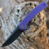 CIVIVI Mini Asticus-Purple G10 (3.25" BW 10Cr15CoMoV) C19026B-4