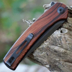 CIVIVI Mini Asticus-Cuibourtia Wood (3.25" BW 10Cr15CoMoV) C19026B-5 -Civivi Knives Shop CIVC19026B5.2 00852.1673560176