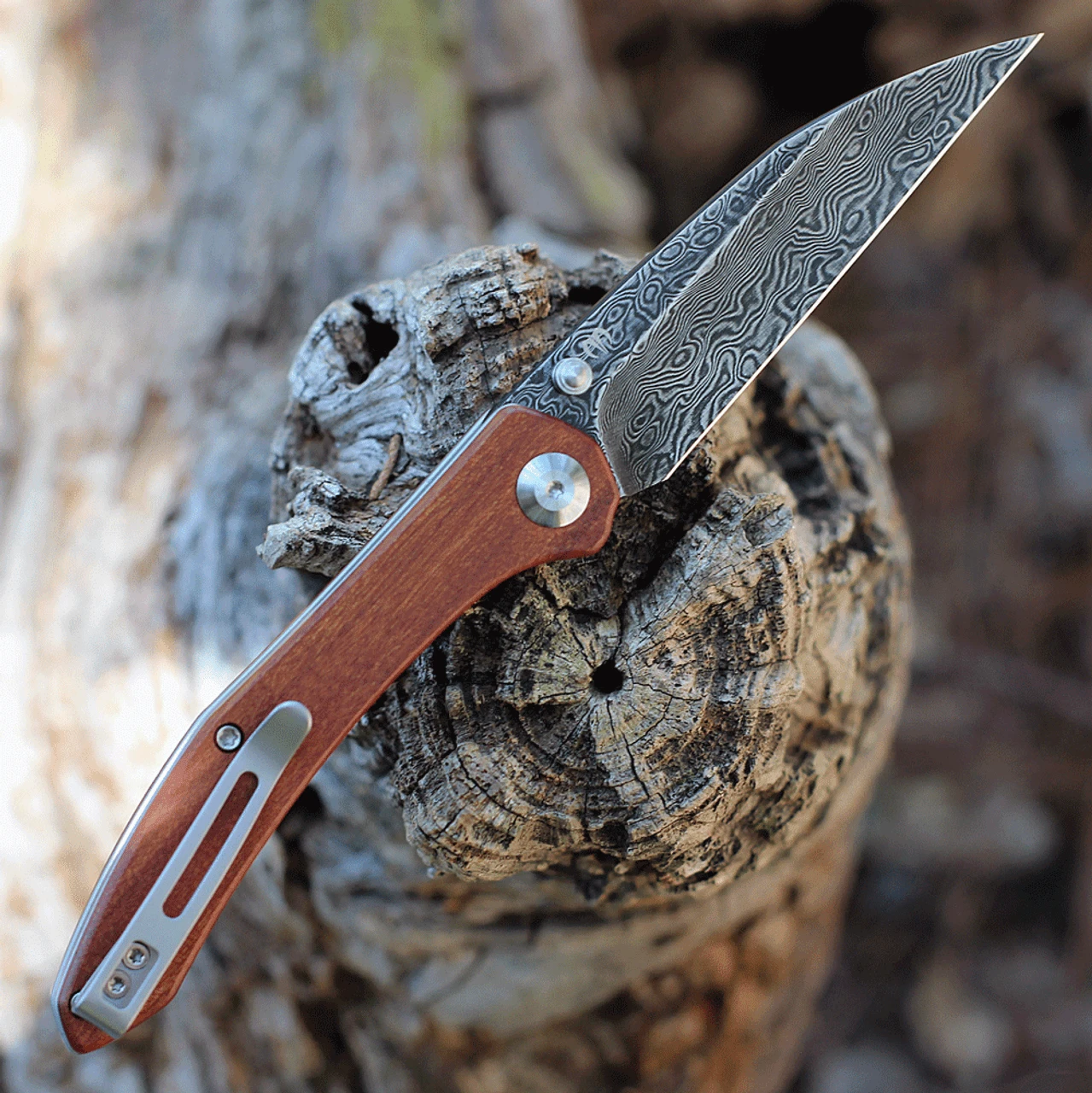 CIVIVI Hadros-Cuibourtia Wood (3.35" Damascus) C20004-DS1 2 CIVIVI Hadros-Cuibourtia Wood (3.35" Damascus) C20004-DS1 - Image 2