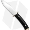 CIVIVI Teton Tickler Clip Point Fixed Blade Knife Black G-10 (5.4" Satin)